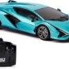 1:24 Scale Officially Licensed Lamborghini Sián FKP 37 RC Car - Premium Collectible & Racer