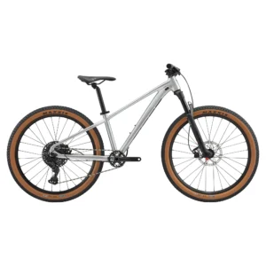 Giant STP 26 Kids Bike 2025 in Quicksilver