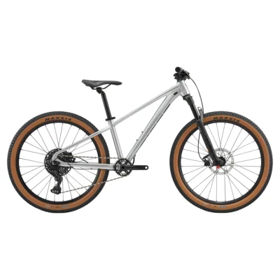 Giant STP 26 Kids Bike 2025 in Quicksilver