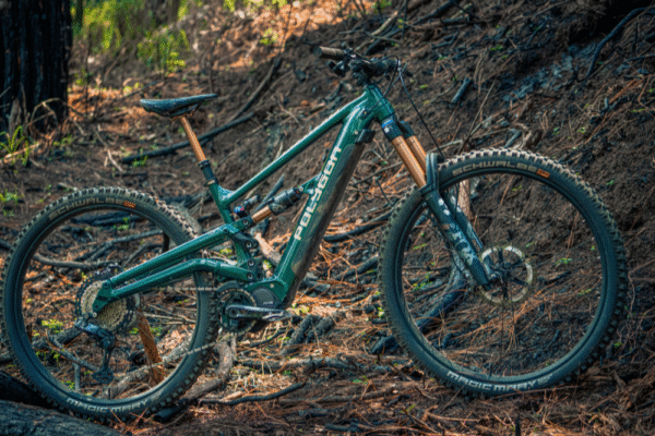 Polygon Collosus N8XE – The Ultimate E-Enduro Powerhouse 180mm of Bosch-Powered Downhill Domination - Image 3